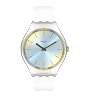 Orologio Swatch Skin in Acciaio SYXS141 - SYXS141